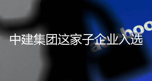 企选国小特新中建这家子企专精业入业集团家级巨人