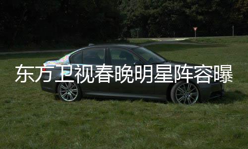 东方明星起了 唐曝光阵容主持卫视人春晚嫣当