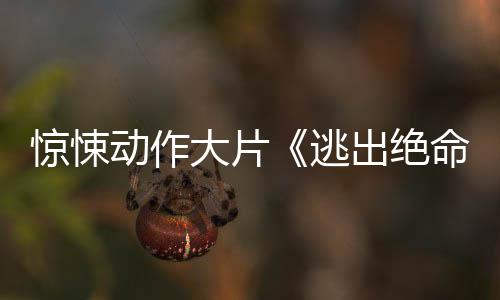 布首动作大片命街告逃暂译支预出绝发惊悚