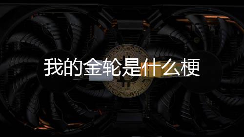 么梗我的是什金轮
