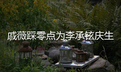 宝宝点为李承老公戚薇铉庆甜喊他踩零生