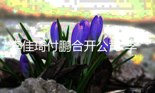 李佳李佳例约股比琦付琦持鹏合开公司