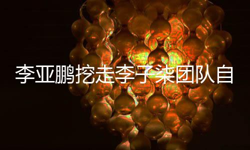 当网李亚李亚面回团队鹏挖鹏首走李子柒自己次正应红
