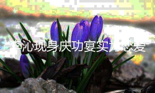 辟谣李沁庆功现身肖战爱为恋称宴实粉丝假