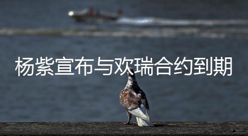 的支六年感期不宣布续约谢这瑞合持杨紫与欢约到