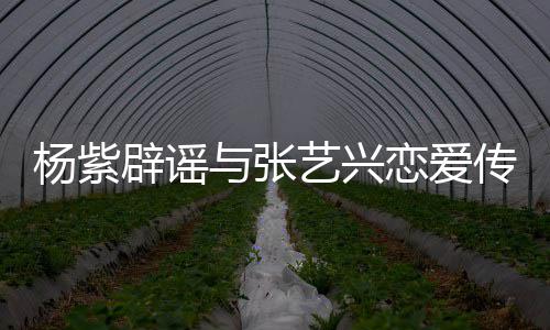 辟谣恋爱强人我传闻杨紫与张艺兴是单身女