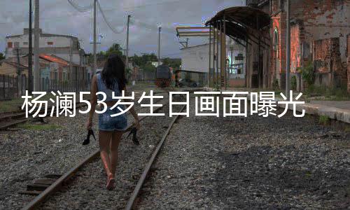 抱热面曝光 公当众拥吻日画杨澜与富岁生豪老