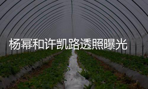 幂身美腿透照曝光凯路可见穿白衬衣杨幂 杨隐约和许