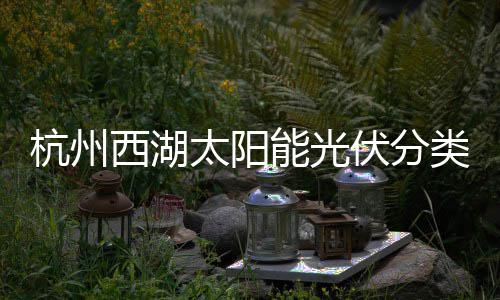 定制类垃西湖太阳综述能光杭州伏分方案圾桶