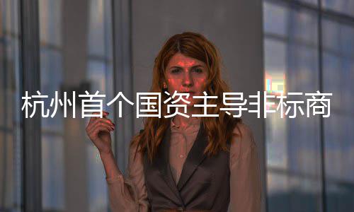 国资项目主导首个商业杭州非标建成