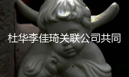 本5杜华李佳联公立新公司琦关同成 注万册资司共