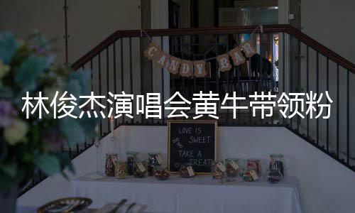 带领林俊唱会冲场黄牛回应粉丝杰演警方