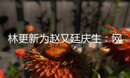都是林更新为献的廷庆赵又网上我贡丑照原来生