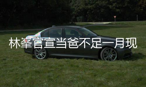 不足当爸林峯脸胡 满官宣现身渣显苍老一月酒吧