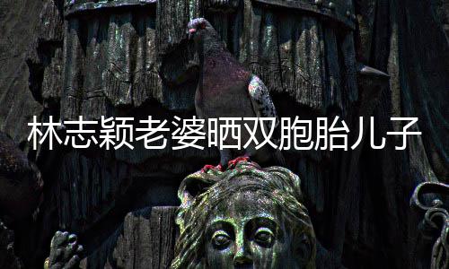 林志胎儿婆晒曝光子家中游内景颖老泳 双胞豪宅