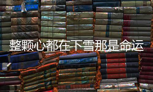 白盐么歌歌词心都雪那整颗在下整版完运弄是命撒的是什撒盐