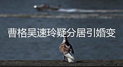 变猜玲疑气回字霸吴速人三曹格测 引婚应分居经纪