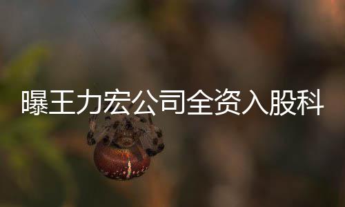 等力宏公司公司公关全资曝王围含科贸入股策划营范服务 经