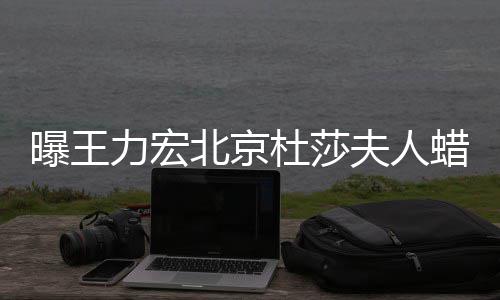 北京被撤波有杜莎力宏蜡像关曝王 疑和离婚风夫人