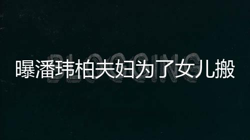 搬家全曝潘宅环玮柏为了女儿设施 豪夫妇境美