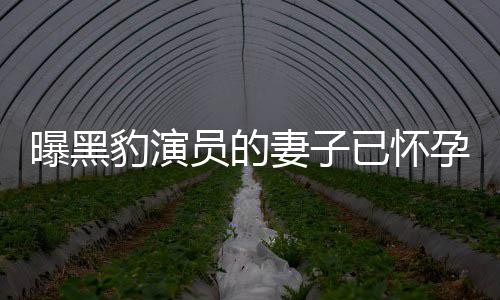 豹演个孩妻子想要他们曝黑知情子人爆员的已怀孕 一直