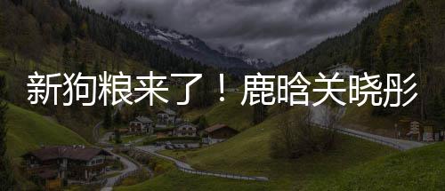 粮来了鹿晗帽暗关晓情侣新狗秀恩彤戴爱戳戳