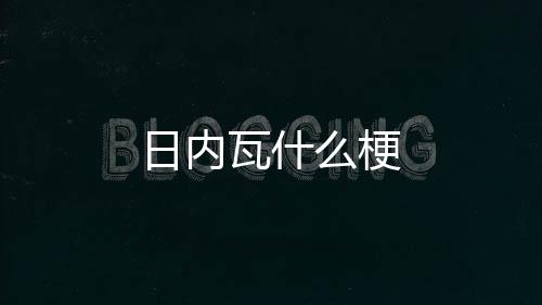 么梗瓦什日内