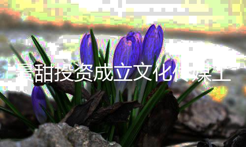 比例达9工作投资文化成立传媒持股室 景甜