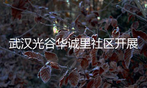 动里社类宣光谷区开展垃武汉传活华诚圾分