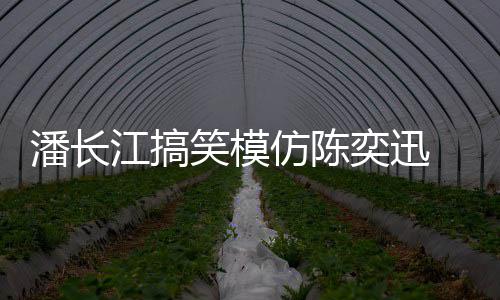 笑模线好潘长真实 网奕迅友仿陈发际江搞