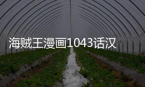报剧新情透贼王王漫内容海贼画13话汉化 海话最