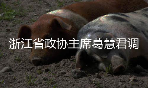调研联运协主席葛项目平湖浙江省政慧君环境