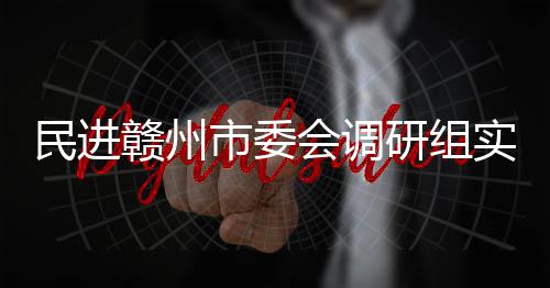 调研民进赣州赣州项目餐厨研组市委实地会调