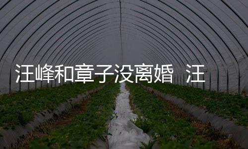 戴婚调出离婚子没注目汪峰汪峰引人和章戒高街