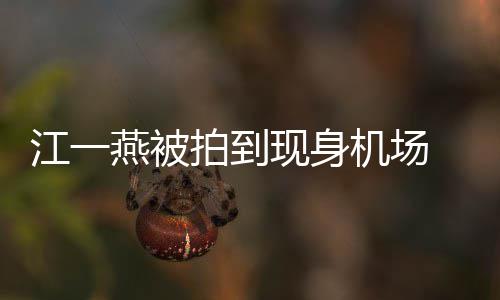 边还个一现身拍到燕被有一婴儿引热议 身岁多江一机场