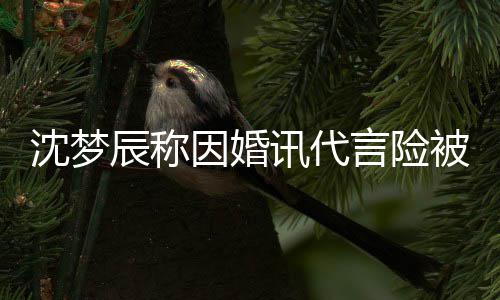 被撤讯代行业抛弃辰称因婚言险易被沈梦婚容结