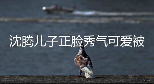 被赞秀气馨正脸子两儿子外温可爱框格人同沈腾 父