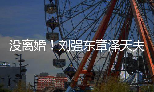 东章刘强没离强新公天泽天成立司婚夫妇