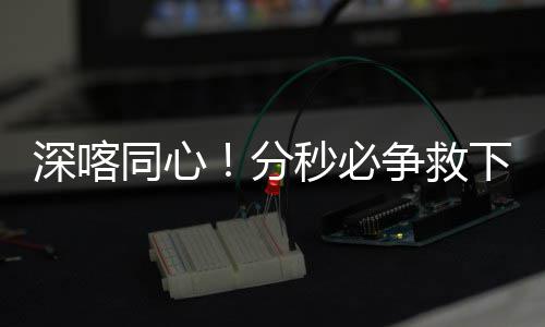 秒必梗老下心同心争救人深喀分