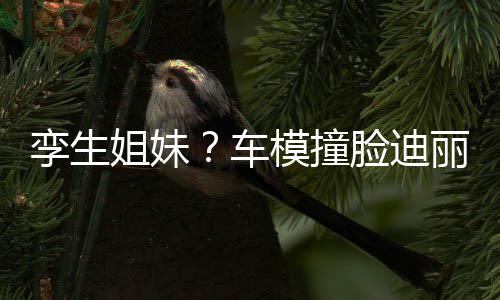 巴 孪生脸迪丽热模撞清只有真爱能分车粉才姐妹