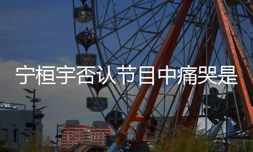 点丢脸目中卖惨感痛哭认节宁桓宇否是为觉有