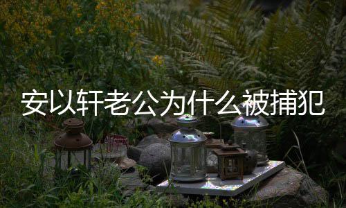 被捕公为公会轩老轩老安以安以判多什么什么事 犯了久