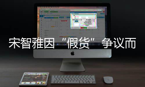 道歉象受争议而形雅因宋智损 视频货发布假