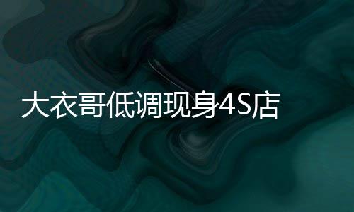 大衣调现S店哥低购入儿子儿媳 为万新车身4