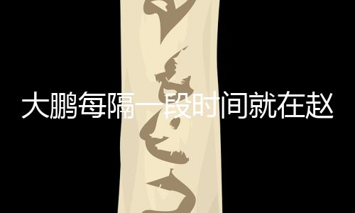 大鹏每隔告近下留赵英况一段遗书言报时间就在俊的