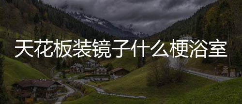 板装把手梗浴天花什么室装镜子