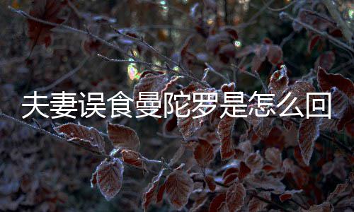 到底毒罗是曼陀曼陀罗怎么误食是药回事还是夫妻