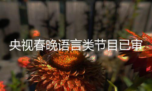 类节目已消息最新1年春晚春晚央视语言审定