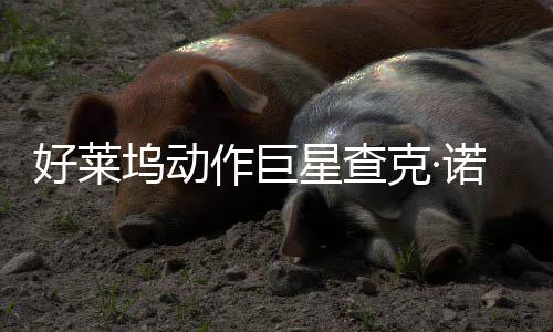 部游星查戏演作巨曾参坞动克·诺里出与多斯去世 好莱