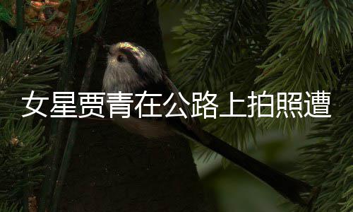 路上立马告 拍照在公遭交认错女星删照贾青警警